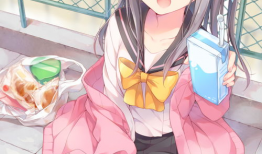 动漫白丝图片,动漫中的纯洁与诱惑